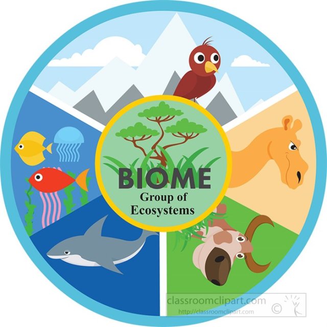 Ecosystems: What They Are, How They Work, and Fun Facts for Students