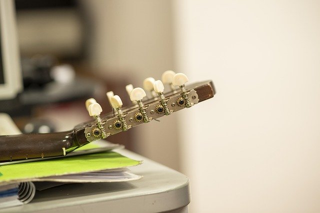 Charango Facts for Students