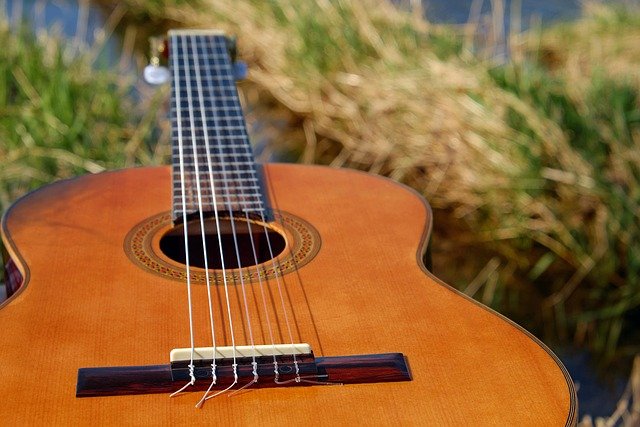 Guitar Facts for Students | Learn How the Guitar Works and Its Role in Music