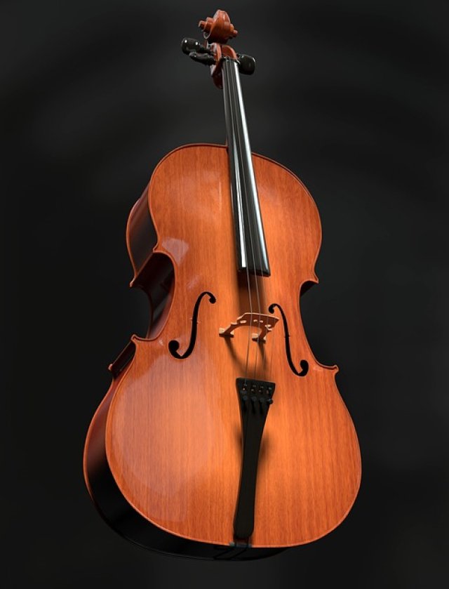 Cello Facts for Kids – History, Technique & Sound