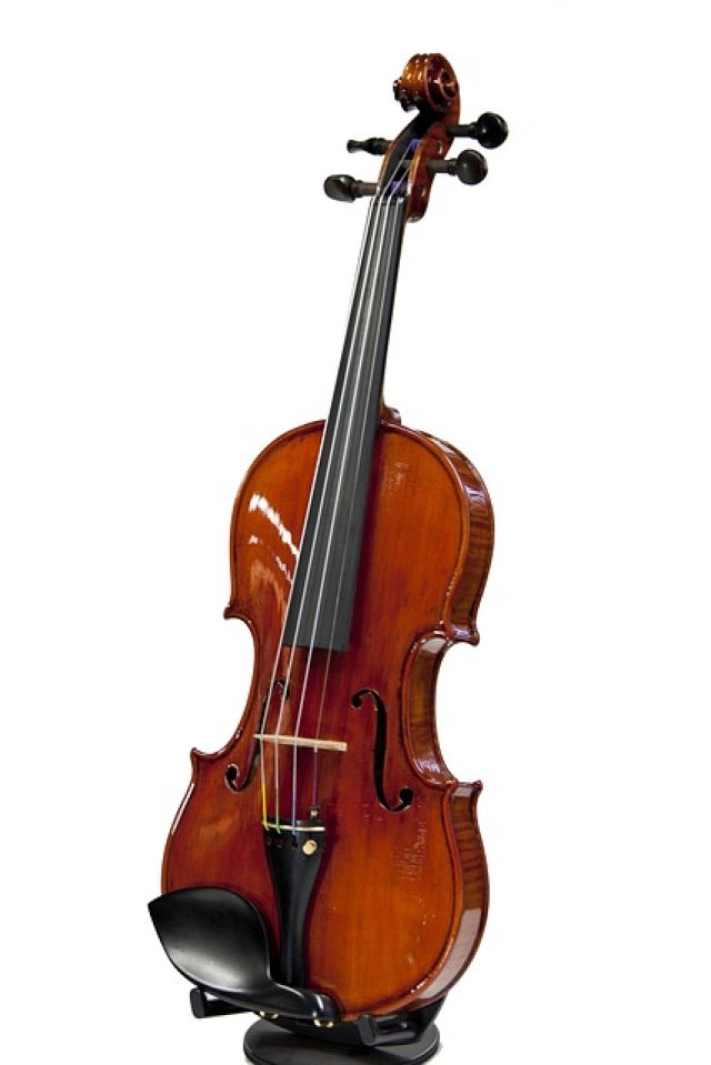Violin Facts for Students | Learn How the Violin Works and Its Role in Music