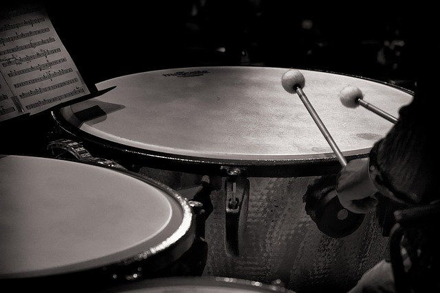 Timpani Facts for Students | Learn How the Timpani Work & Their Role in Music