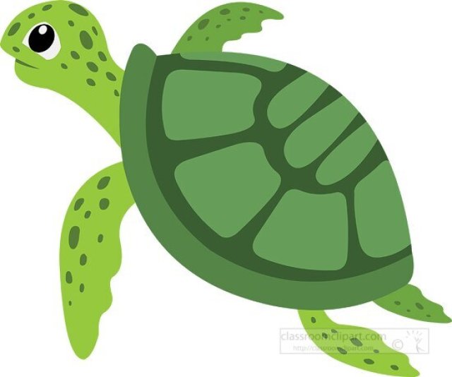 Turtles for Kids – Fun Facts, Types, Life Cycle & How to Protect Them