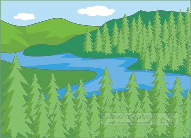 Boreal Forests (Taiga) for Kids: Fun Facts, Animals, and Seasons