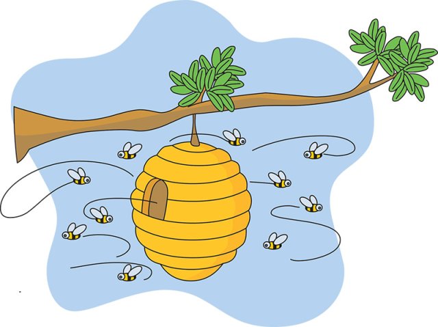 Bees for Kids: Amazing Facts, Life Cycle, and Importance of Bees