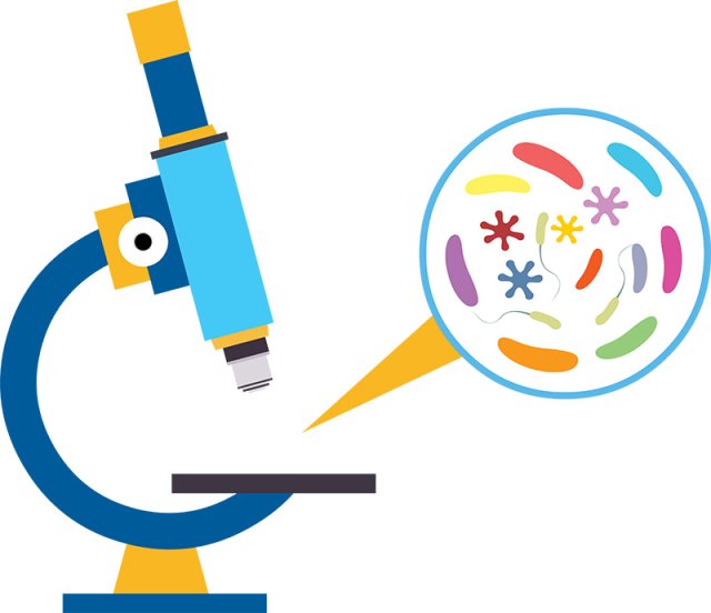 Animal Cell for Students – Structure, Function, and Organelles