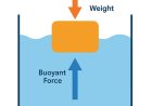 What Is Buoyancy? Floating and Sinking Explained for Kids