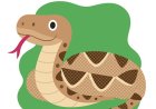 Rattlesnake Facts for Kids – Venomous Snake with a Warning Rattle