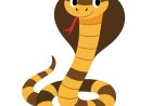 King Cobra Facts for Kids – The World’s Longest Venomous Snake
