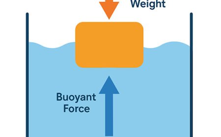 What Is Buoyancy? Floating and Sinking Explained for Kids