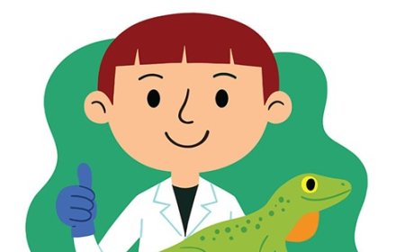 Anole Lizard Facts for Kids – Small Reptiles with Big Color