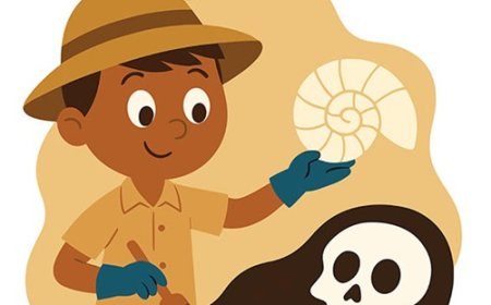 Paleontologist for Students | Scientists Who Study Fossils