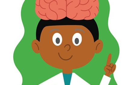 The Brain: Thinking, Moving, and Keeping You Alive