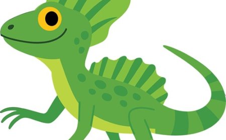 Basilisk Lizard Facts for Kids – The Lizard That Runs on Water