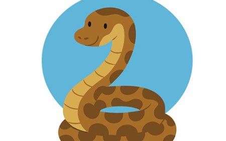 Boa Constrictor Facts for Kids – Powerful South American Snake