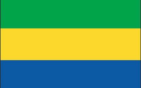Gabon for Students: Geography, Culture, and Wildlife of a Central African Nation