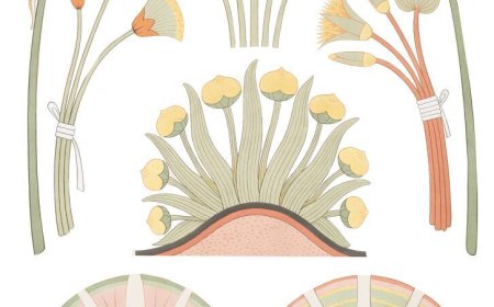 Papyrus in Ancient Egypt The First Paper