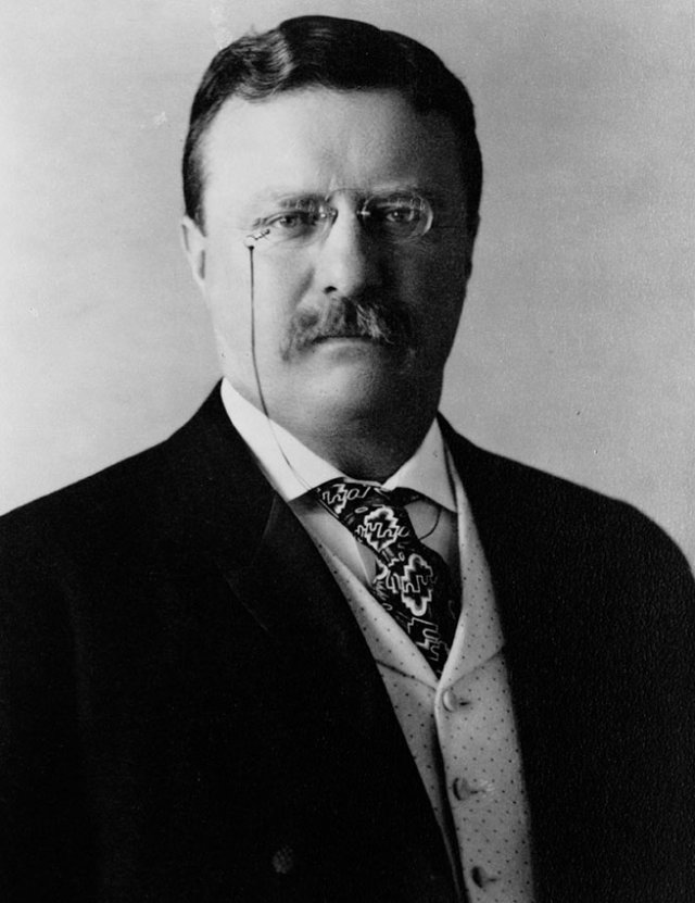 Theodore Roosevelt Biography for Students the 26th President
