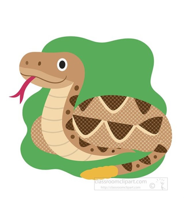 Rattlesnake Facts for Kids – Venomous Snake with a Warning Rattle