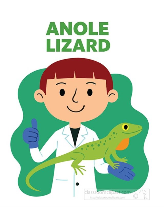 Anole Lizard Facts for Kids – Small Reptiles with Big Color