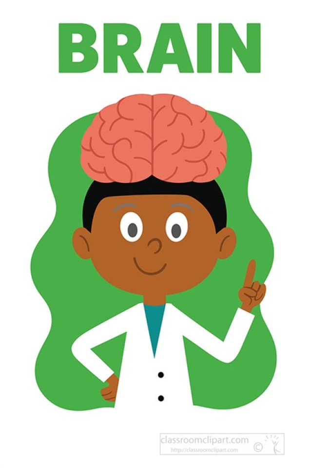 The Brain: Thinking, Moving, and Keeping You Alive