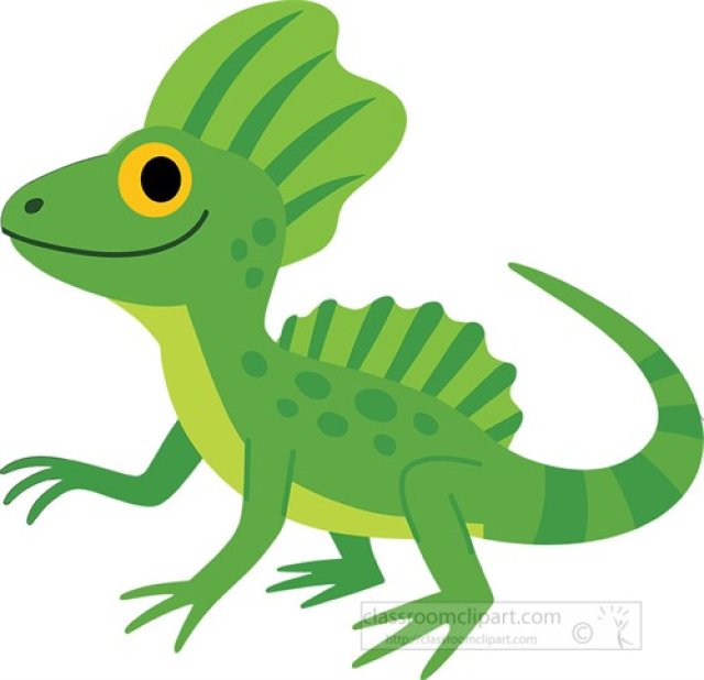 Basilisk Lizard Facts for Kids – The Lizard That Runs on Water