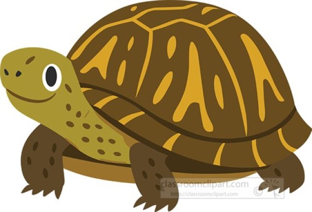Box Turtle Facts for Kids – Land Turtle with a Hinged Shell