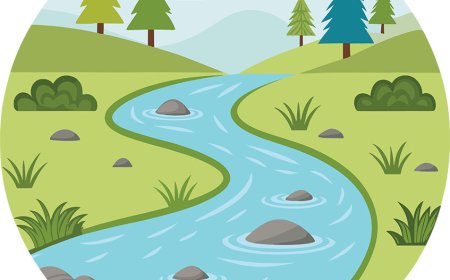 Rivers Facts for Students | Water and Ocean Guide