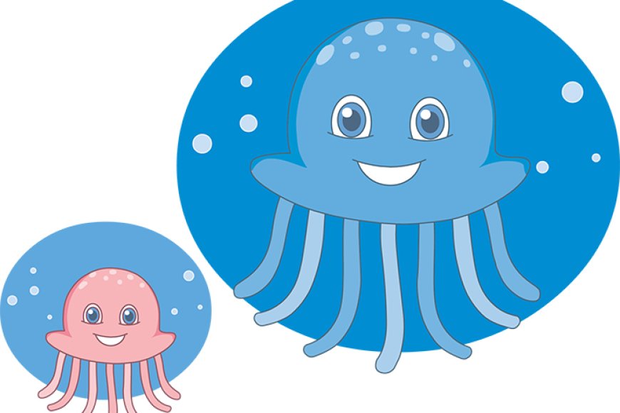 Are jellyfish real fish?