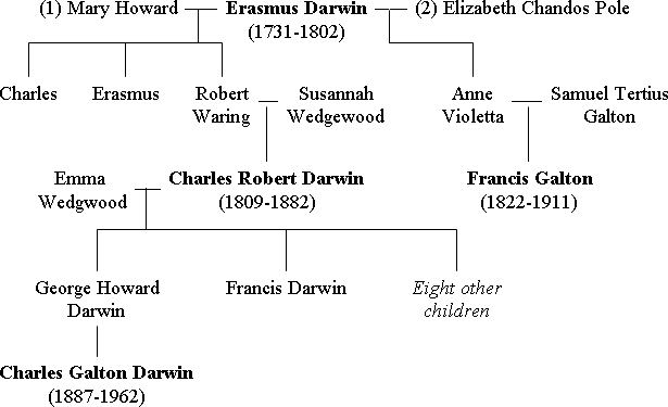 Image:Darwin family tree v1.png