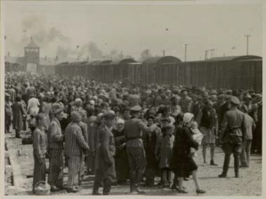 Thousands of Holocaust victims arriving at the Nazi extermination camp at Birkenau in 1944