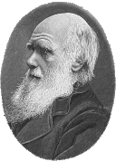 Image:Charles Darwin.png