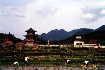 A distant view with peasants working in the foreground.