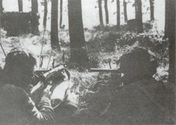 Polish paratroopers in positions on the southern bank of  ().