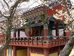 Traditional Korean dwelling