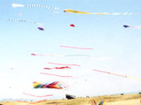 These kites are about 50 feet long each. The rainbow color wind sock near the bottomof the picture spins like a turbine.