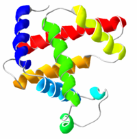 A representation of the 3D structure of the  protein.  are shown in colour, and  in white, there are no  in shown. This protein was the first to have its structure solved by  by  and  in 1958, which led to them receiving a .
