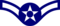 Airman insignia