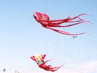 These kites are shaped like an octopus and squid and are more than 40 feet long.