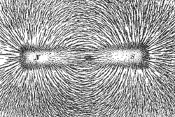Magnetic field lines emanate primarily from the north pole of a magnet and curve around to the south pole