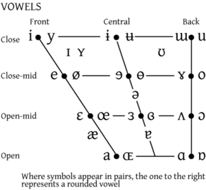 Vowel space has many dimensions.  The three most significant are height, backness, and roundedness.