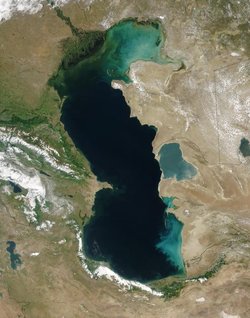 Eutrophication is apparent as increased turbidity in the northern part of the , imaged from orbit.